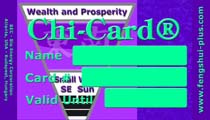 feng shui card wealth